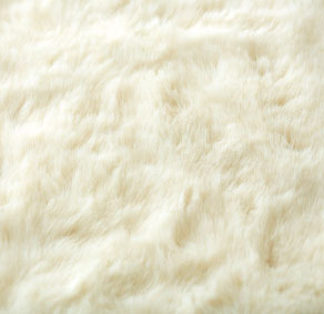 aw-cc-carpet-hl1240-05up.jpg